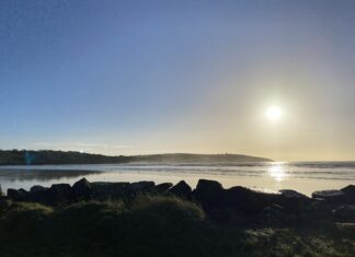 Image of beach with rocks and the sun shining